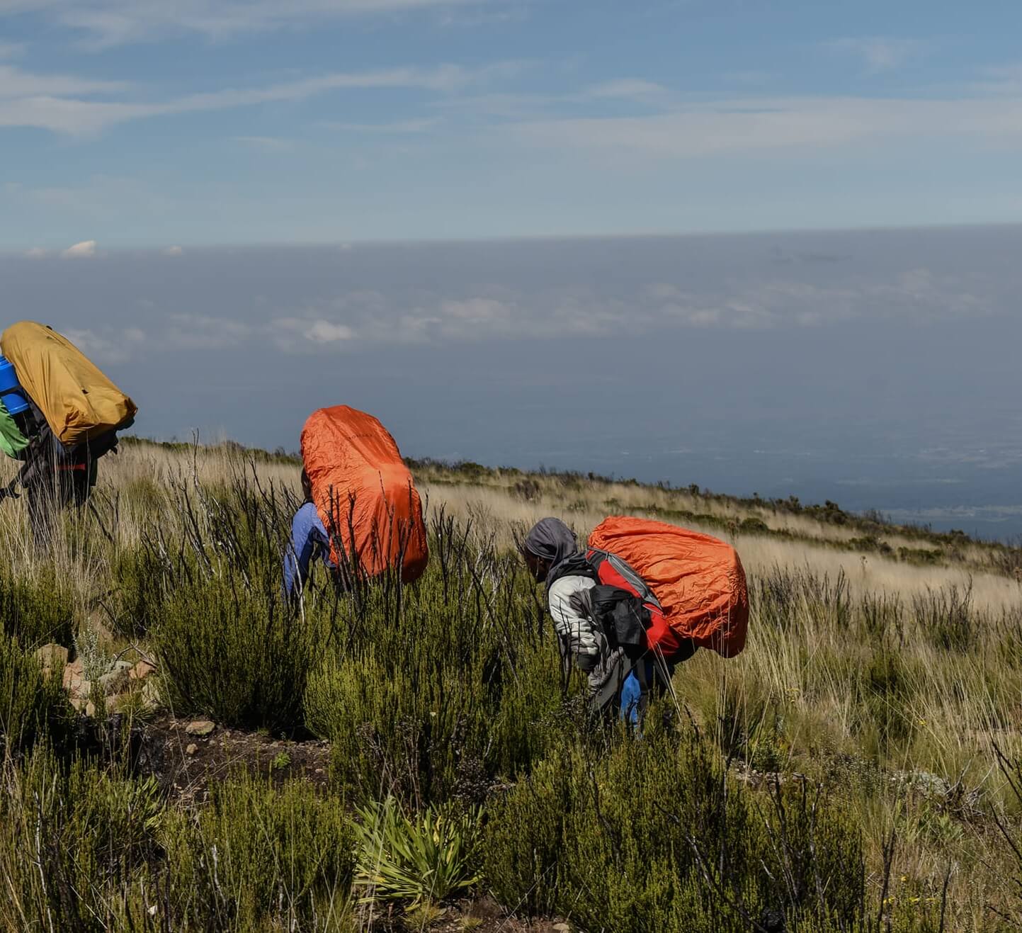 Mount Kenya climbing