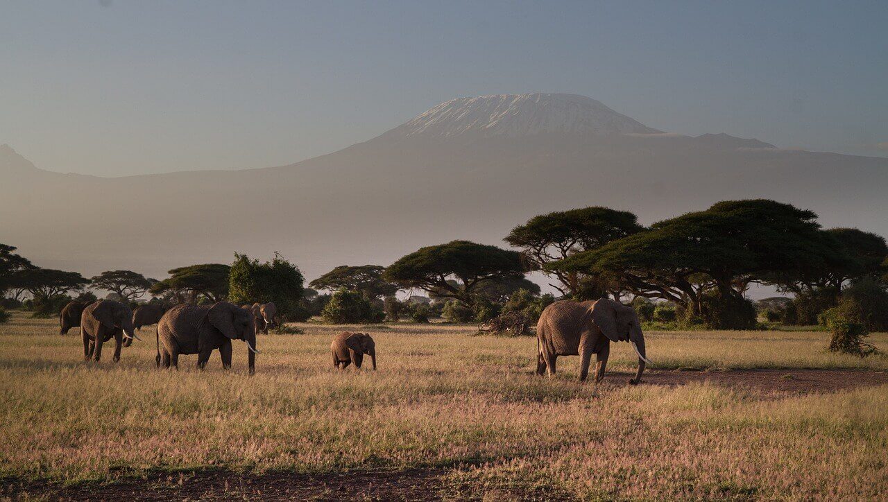 Amboseli day trip