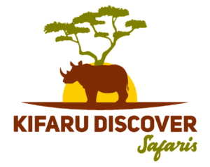 kifaru Discover logo transparent
