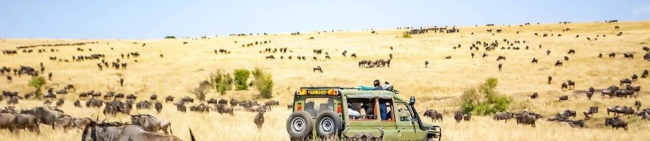 Maasai Mara safari by Kifaru Discover Safaris