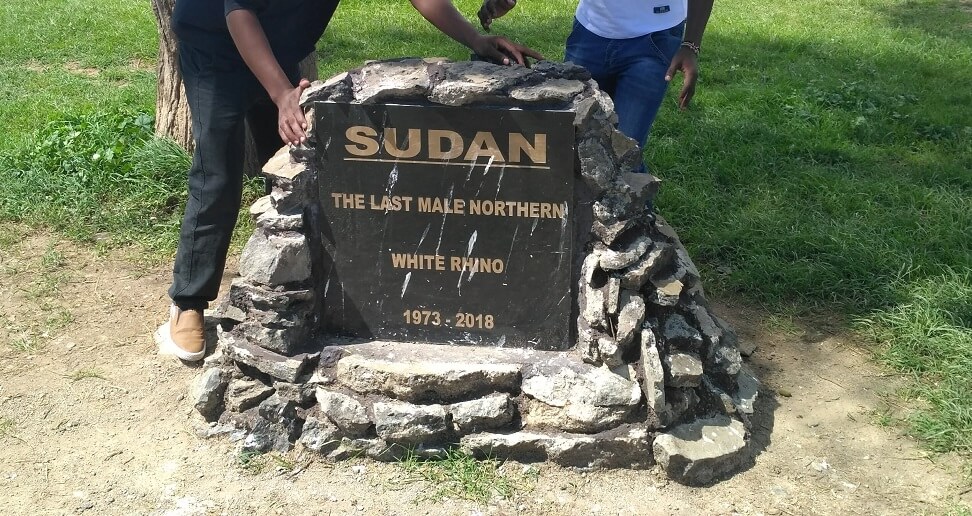 Rhinos Grave Yard at Ol Pejeta Conservancy