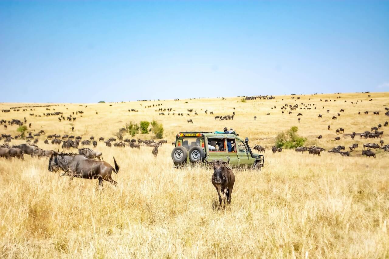 3 days masai mara flying package