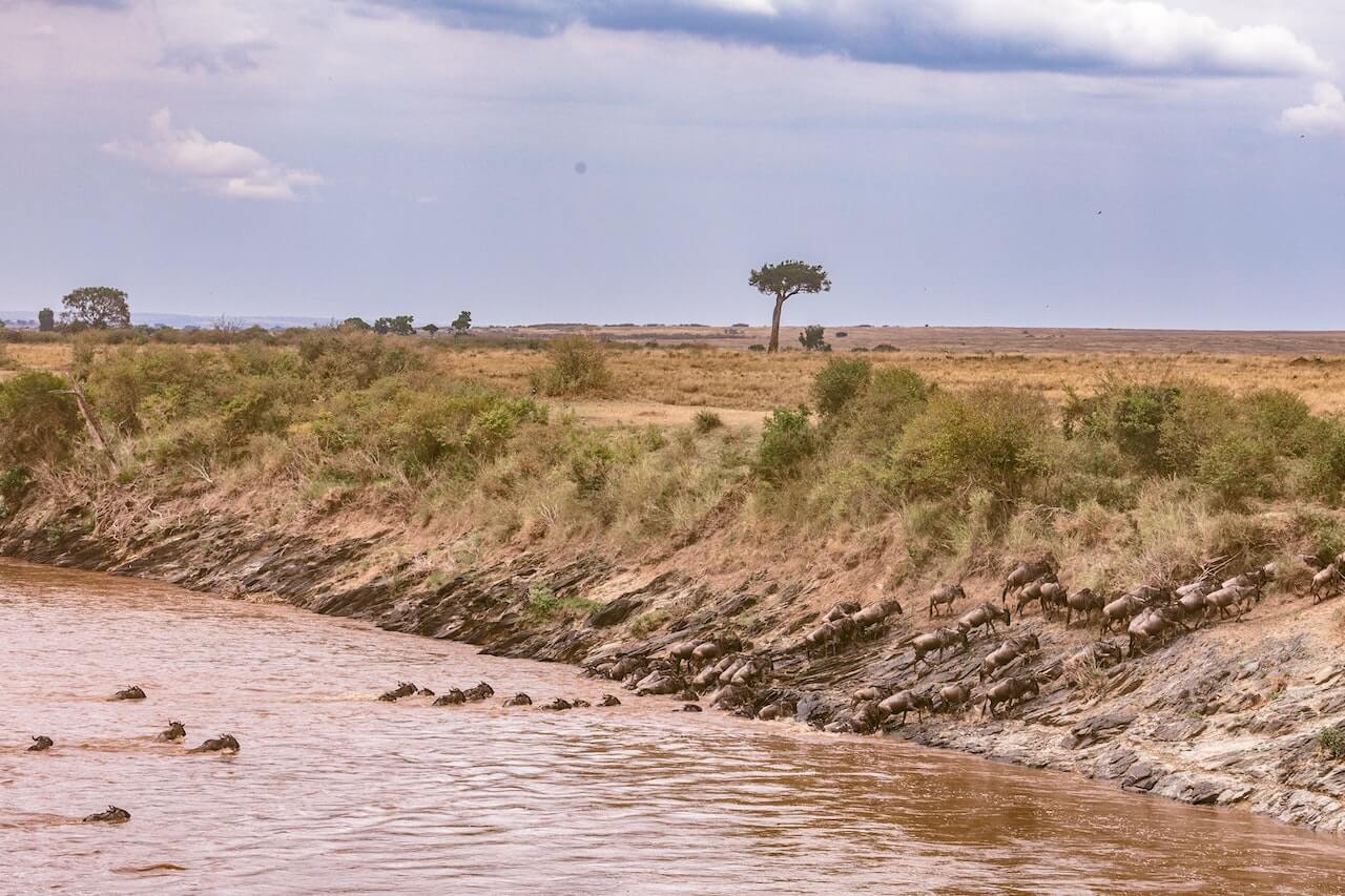 3 days Masai Mara flying package cost