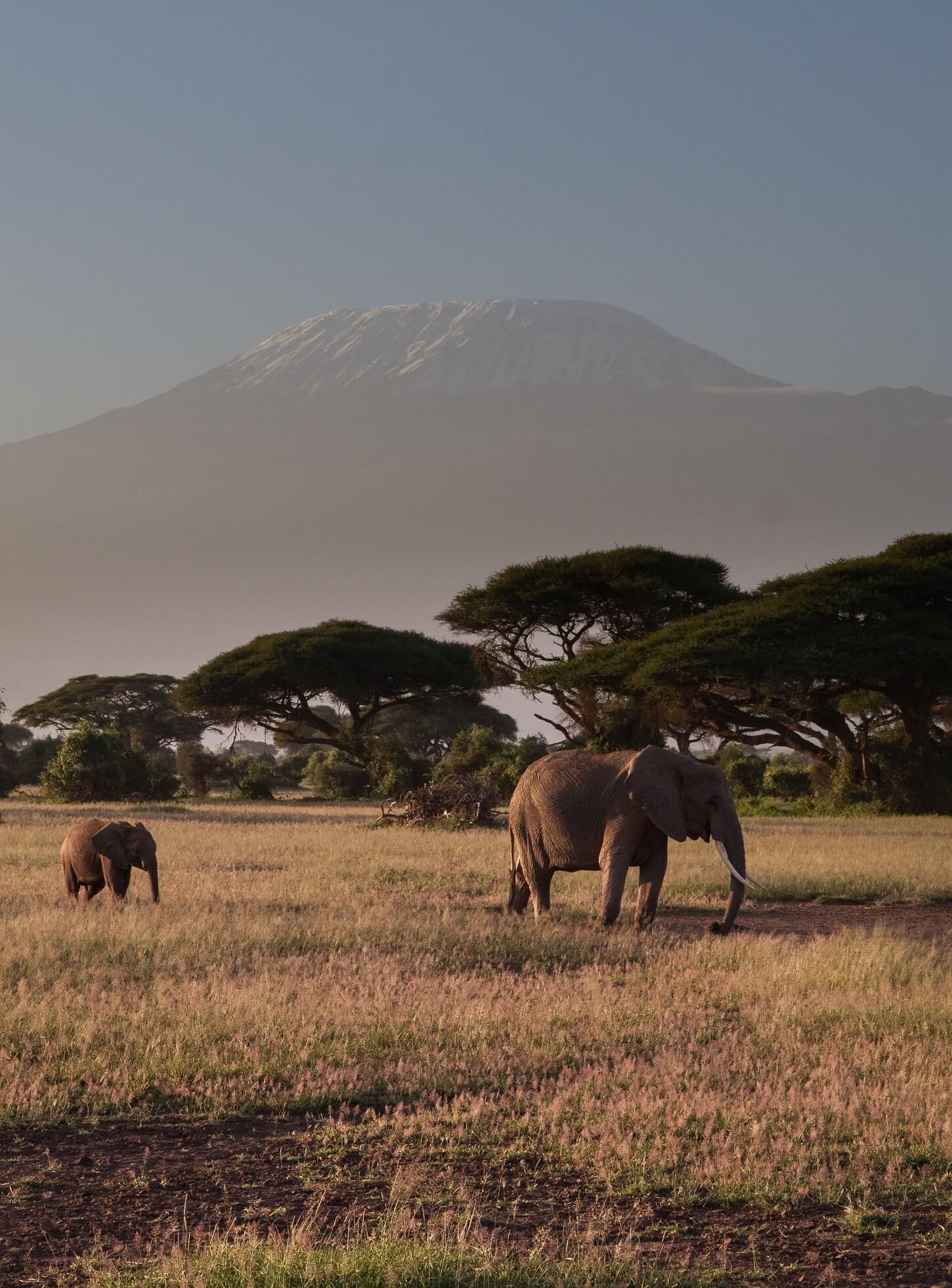 Amboseli Packages