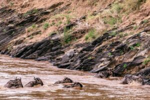 2 Days Masai Mara Safari from Nairobi