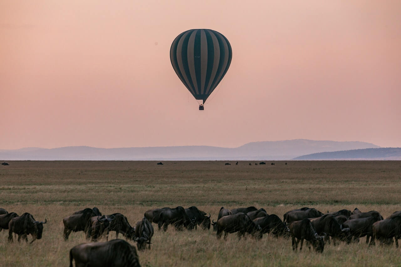 Best time to visit masai mara