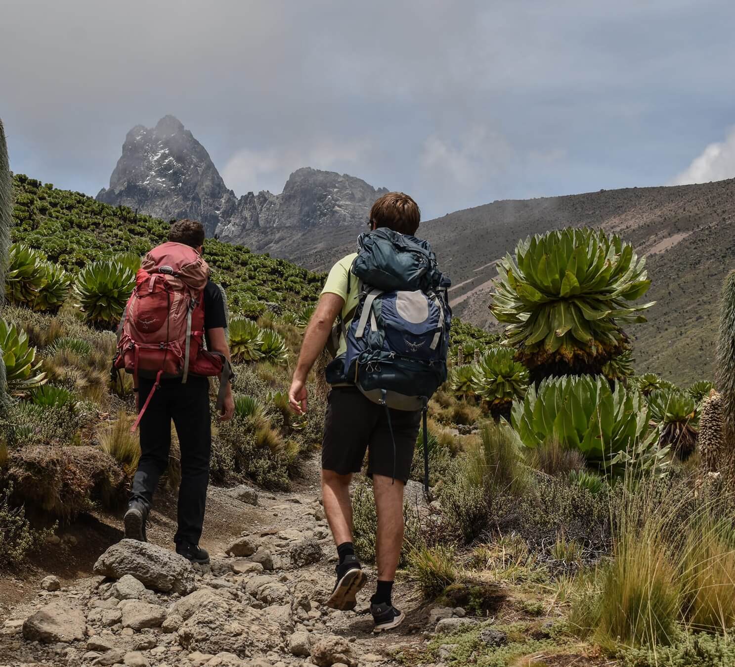 Mountain climbing in Kenya at Mount Kenya