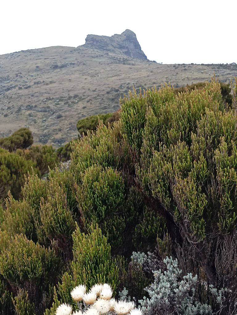 Mount Kinangop one of the places for Mountain Climbing in Kenya