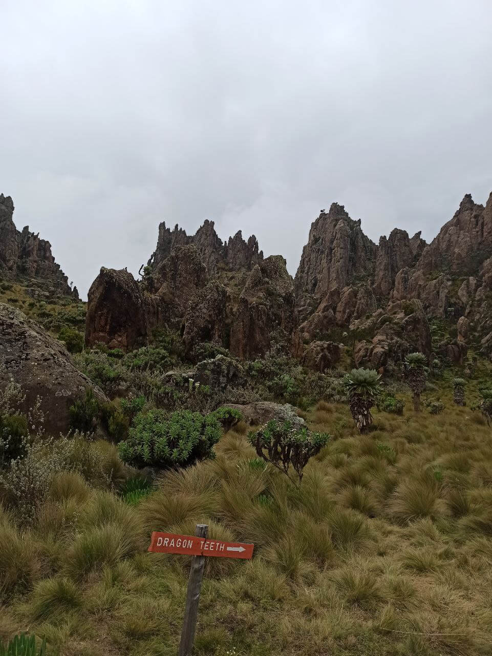 Dragon Teeth Satima Ol Donyo Lesatima Mountain Climbing in Kenya