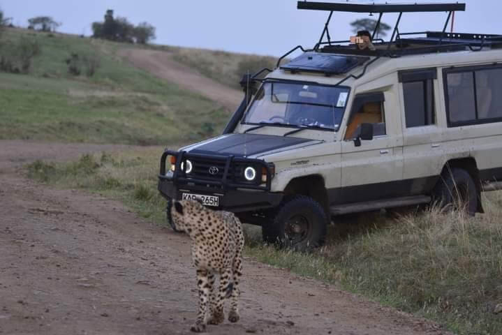 Nairobi national park car hire