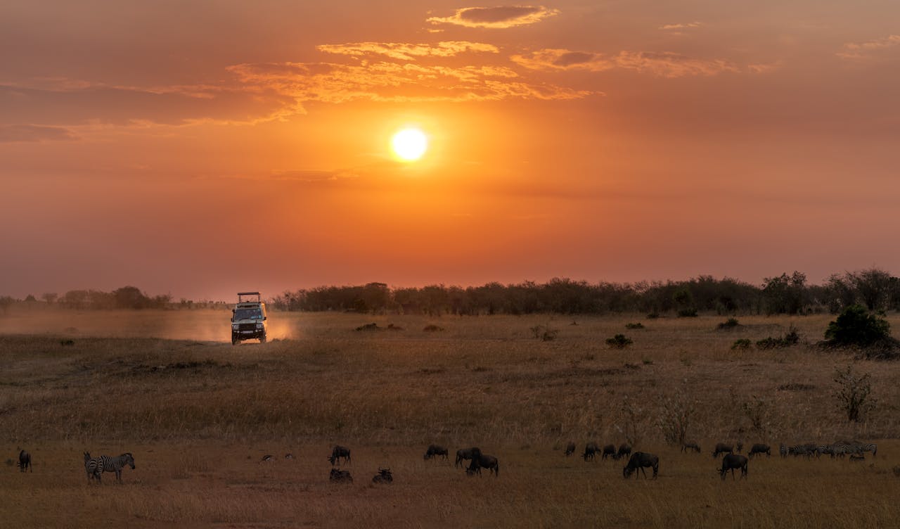 Masai Mara Trip Cost