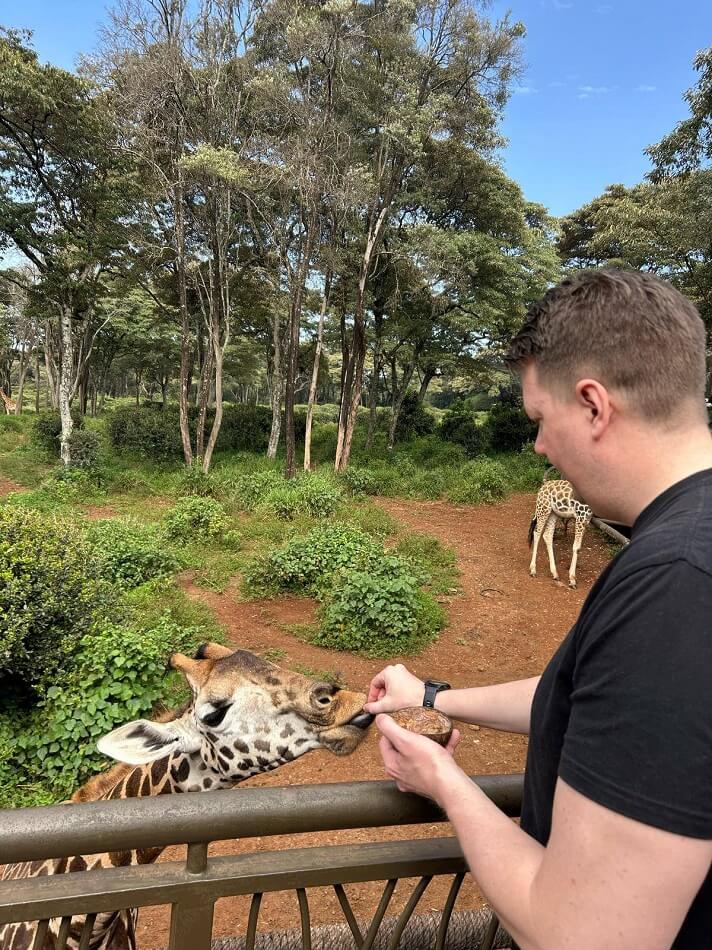 Giraffe Centre feeding session