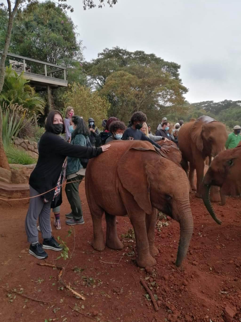 Elephants Wildlife Trust