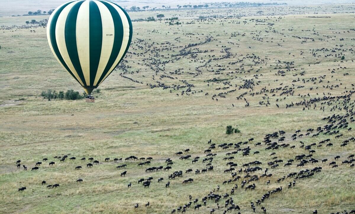 4 Day Masai Mara safari from Nairobi