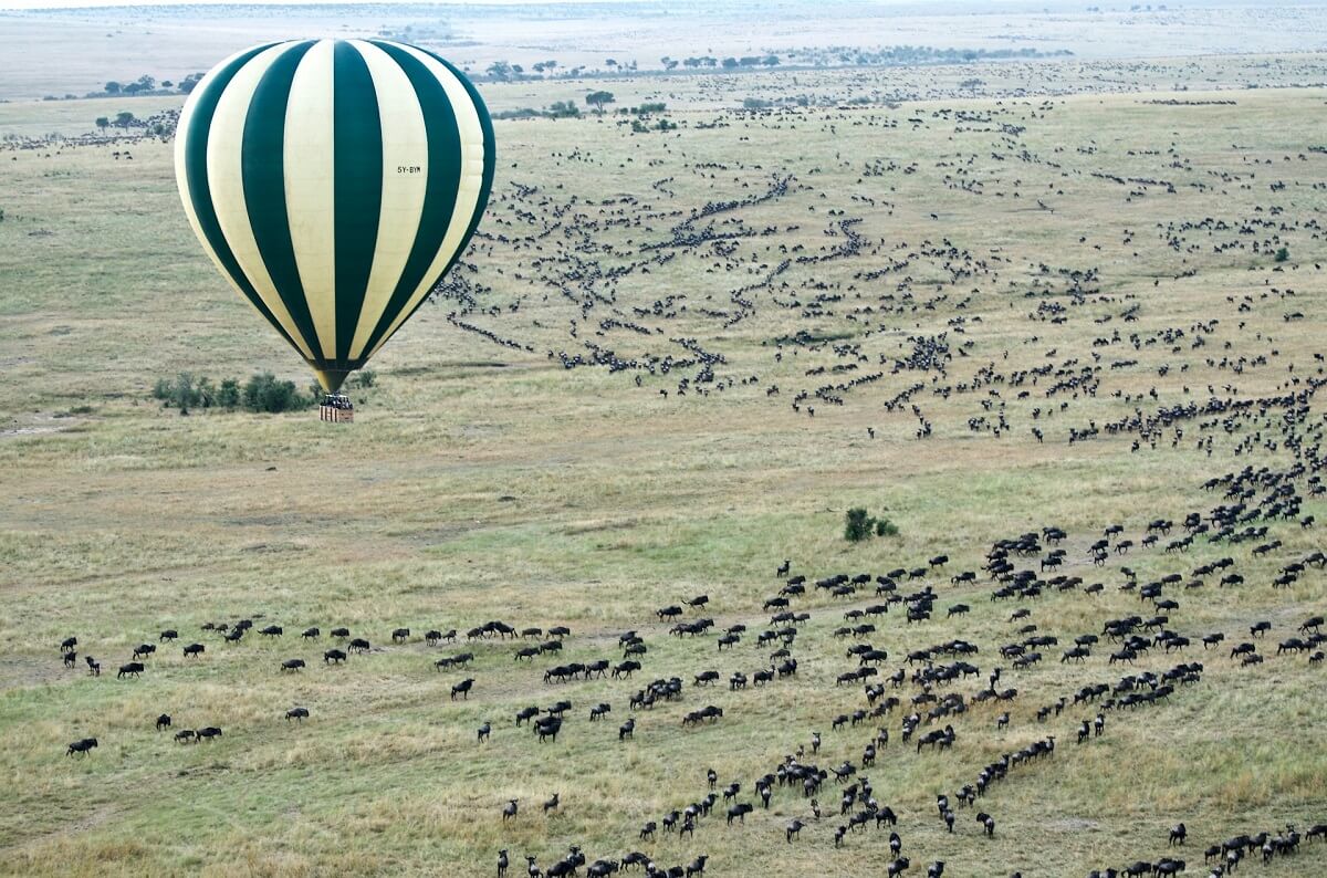 4 Day Masai Mara safari from Nairobi