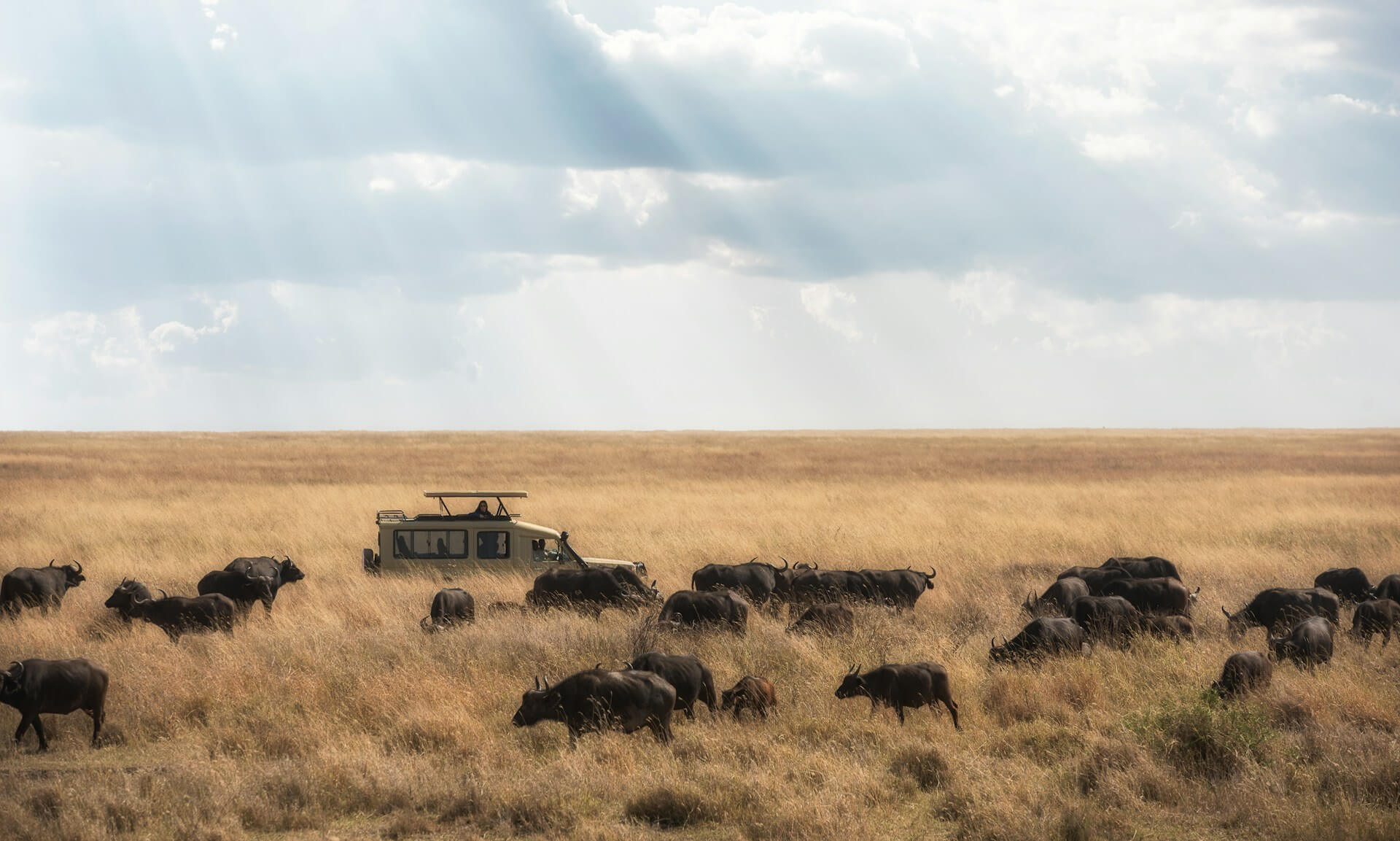 Serengeti on Tanzania Honeymoon Safari