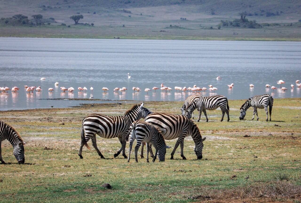 Lake Manyara on 13 Days Tanzania Safari
