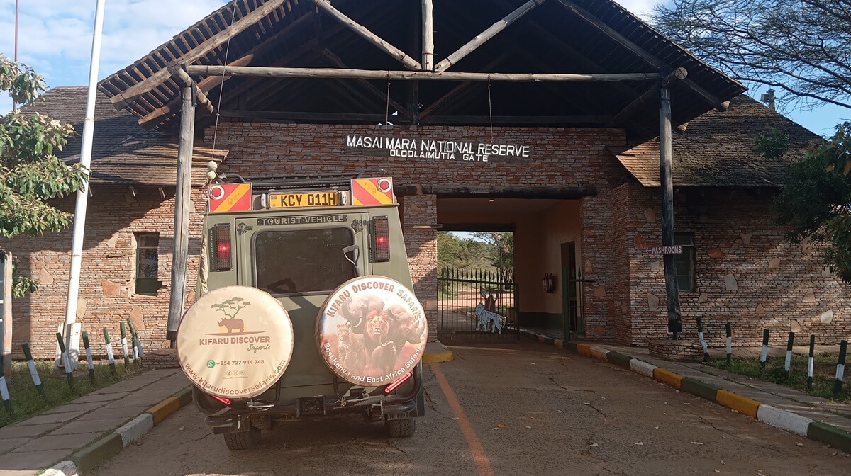 Best Masai Mara safaris with a 4x4 Jeep by Kifaru Discover Safaris