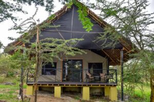 Enkorok Safari Camp (Location and Prices)