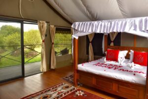 Comfortable bed inside a tent at Enkorok Safari Camp