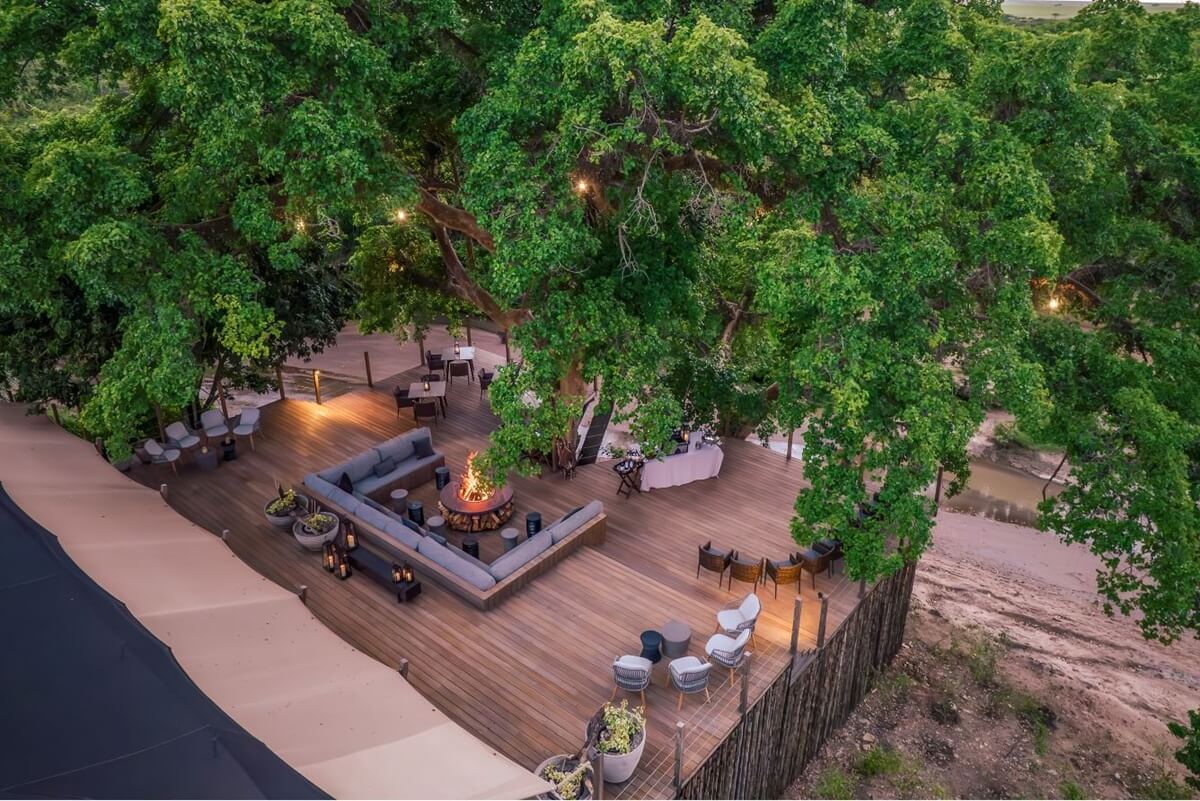 Fig Tree at Marriott