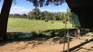 Game viewing inside Governor's Camp Masai Mara 