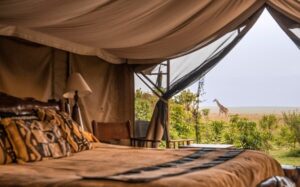 Game watching inside Governor's camp masai mara