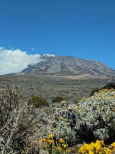 A view of Mount Kilamanjaro during the dry season 