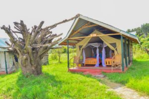 Flair Camp experiences-budget  camp in Maasai Mara 