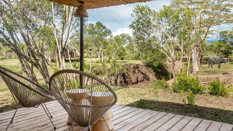 Watching wildlife in River Camp Ol Pejeta