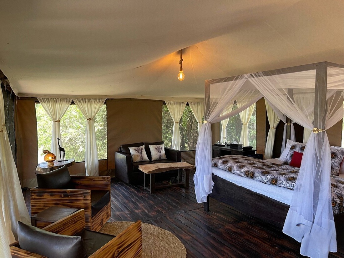 Yellow Barbet- Budget hotel in Serengeti