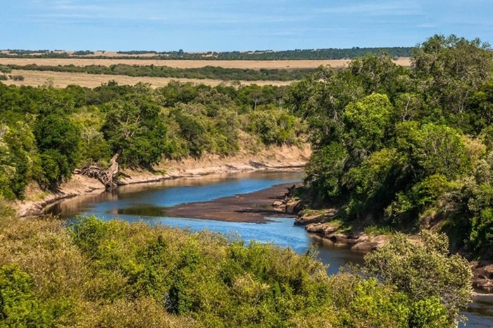 Mara River near Entim mara camp where you can watch wildebeest crossing 