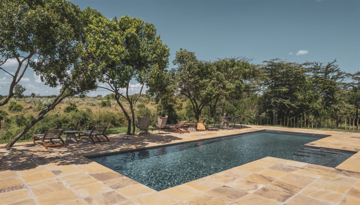 Swimming pool lerai safari camp
