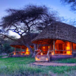 Elewana Tortilis Camp in Amboseli National Park